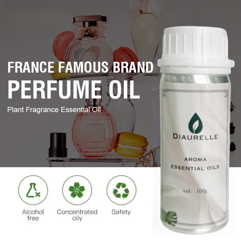 DIAURELLE 100ml Dyfuzor Zapach – Home Fragrance Logo recenzja i cena
