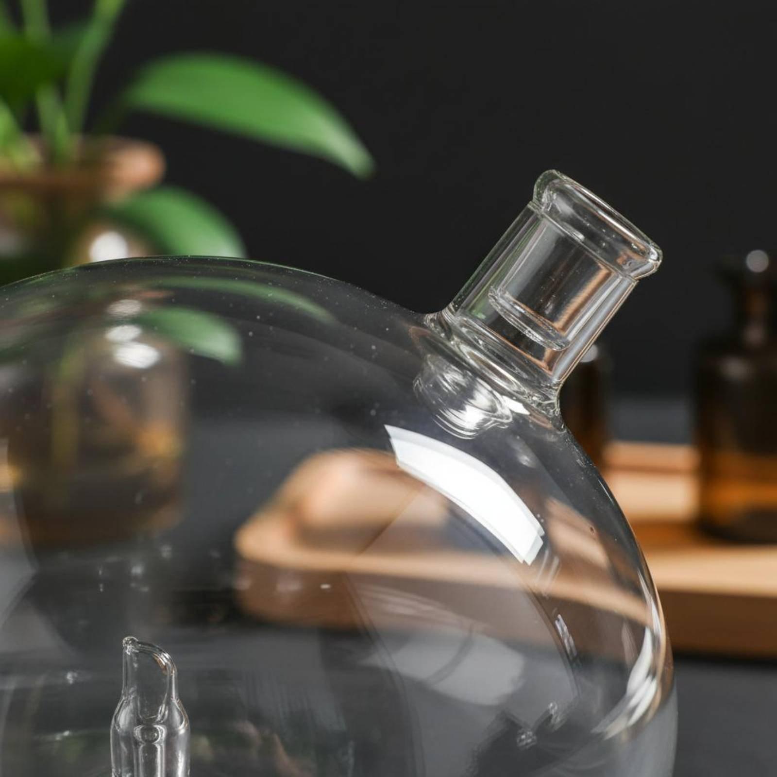 Uniwersalna szklana butelka za – Home Fragrance Usa recenzja i cena